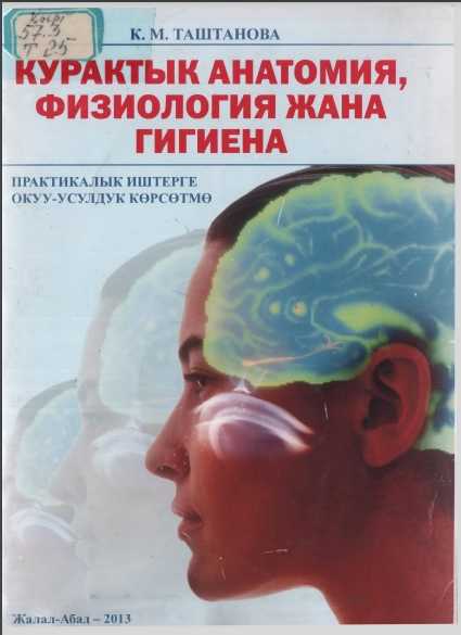 Курактык анатомия, физиология, гигиена, практикалык иштер, окуу-усулдук көрсөтмө, жогорку, ортонку, окуу жайлар, Башталгыч класс, мугалим, адистиги,