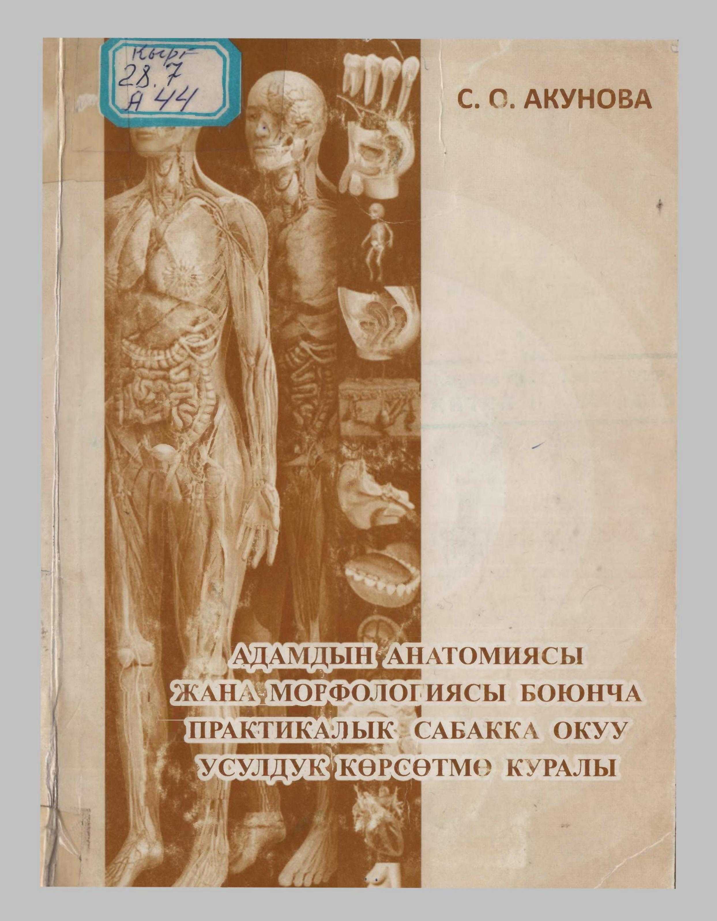 Адам, анатомиясы, морфологиясы,практикалык сабак, усулдук, керсөтмө, биология, факультети, окутуучулары, студент, мектеп, биология, мугалими, кыргызча, китеп, онлайн, бекер, окуу
